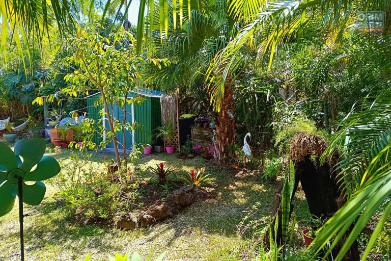 Charmante villa 3 chambres avec jardin arboré de 558 m2 quartier résidentiel  Tampon - Trois mares