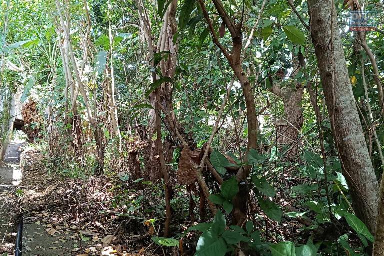 Terrain 400 m2 en zone U proche du village avec eau et électricité à l'Entre Deux