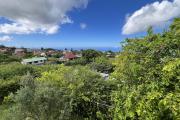 Au Tevelave une grande et jolie maison F4+ de 2008 avec vue mer et montagne au centre du village, proche de toutes les commodités avec un joli jardin et beaucoup d'espace couvert