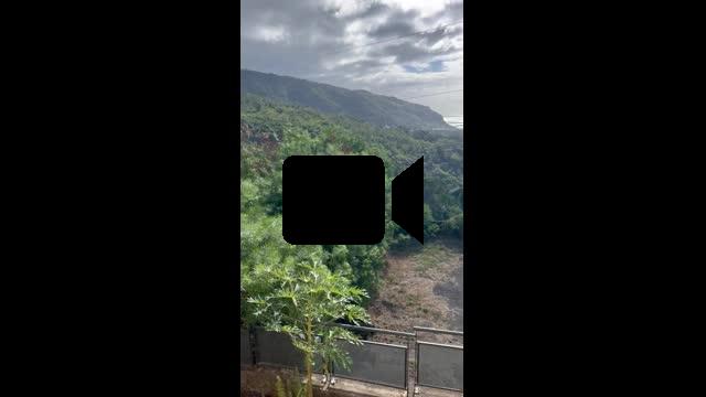 A louer appartement T2 avec vue panoramique mer/montagne et jardin à la Colline des Camélias - Résidence Terradélie